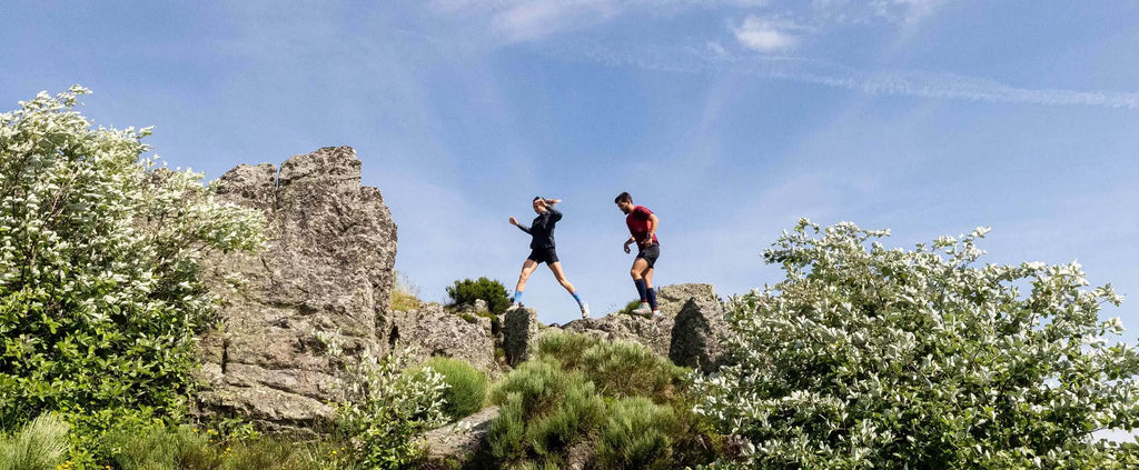Runners lors d'un trail dans la montagne 